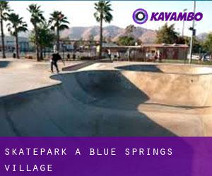 Skatepark a Blue Springs Village