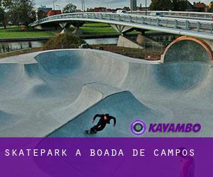 Skatepark a Boada de Campos