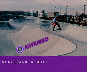 Skatepark a Boaz