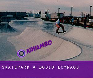 Skatepark a Bodio Lomnago