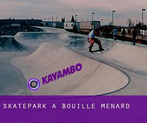 Skatepark a Bouillé-Ménard