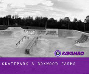Skatepark a Boxwood Farms