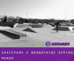 Skatepark a Brandywine Springs Manor