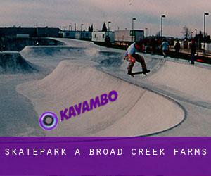 Skatepark a Broad Creek Farms