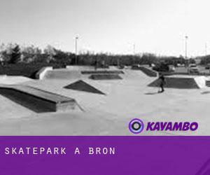 Skatepark a Bron