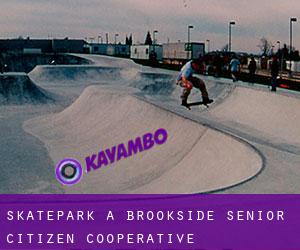 Skatepark a Brookside Senior Citizen Cooperative