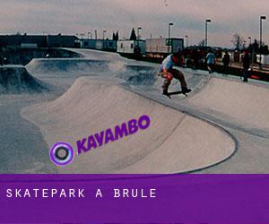 Skatepark a Brule