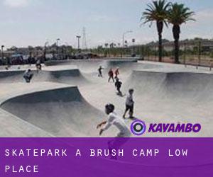 Skatepark a Brush Camp Low Place