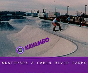 Skatepark a Cabin River Farms