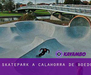 Skatepark a Calahorra de Boedo
