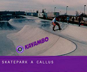 Skatepark a Callús