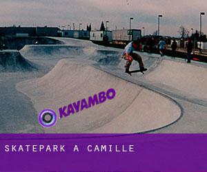 Skatepark a Camille