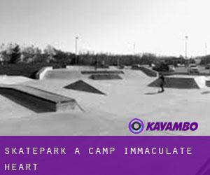 Skatepark a Camp Immaculate Heart
