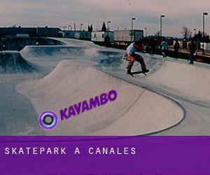 Skatepark a Canales