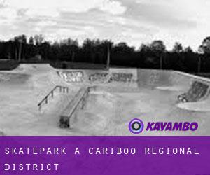 Skatepark a Cariboo Regional District