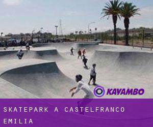 Skatepark a Castelfranco Emilia