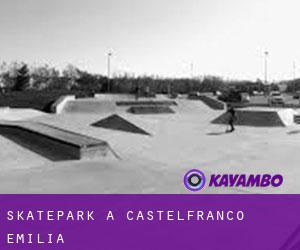 Skatepark a Castelfranco Emilia
