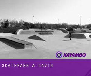 Skatepark a Cavin