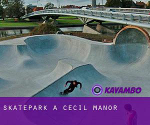 Skatepark a Cecil Manor