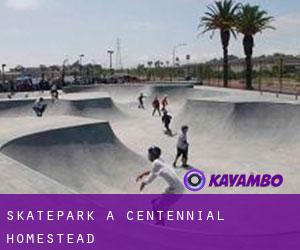 Skatepark a Centennial Homestead