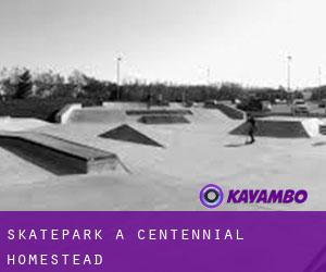 Skatepark a Centennial Homestead
