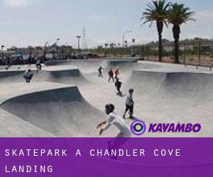 Skatepark a Chandler Cove Landing