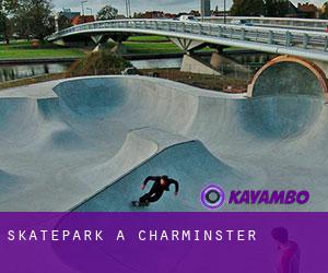 Skatepark a Charminster