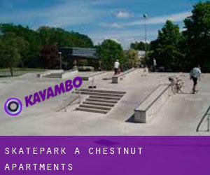Skatepark a Chestnut Apartments