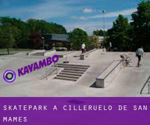 Skatepark a Cilleruelo de San Mamés