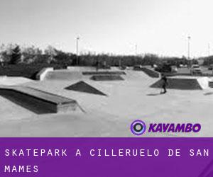 Skatepark a Cilleruelo de San Mamés