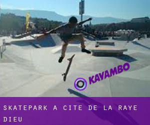 Skatepark a Cité de la Raye Dieu