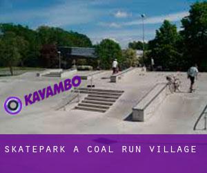 Skatepark a Coal Run Village