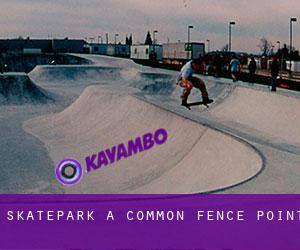 Skatepark a Common Fence Point