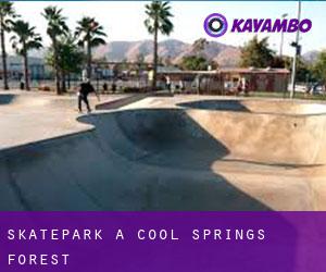 Skatepark a Cool Springs Forest