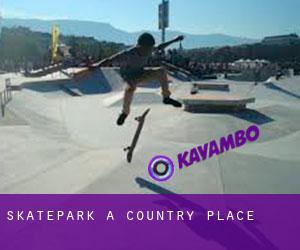 Skatepark a Country Place