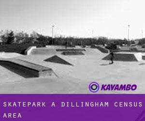 Skatepark a Dillingham Census Area