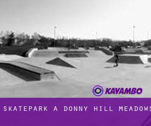 Skatepark a Donny Hill Meadows