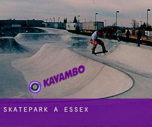 Skatepark a Essex Skatepark a Essex