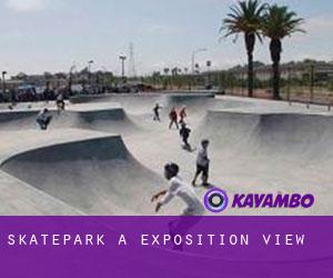 Skatepark a Exposition View