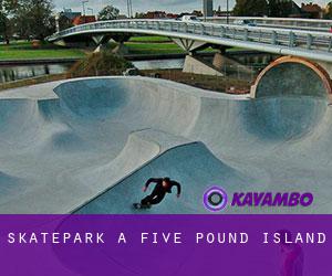 Skatepark a Five Pound Island