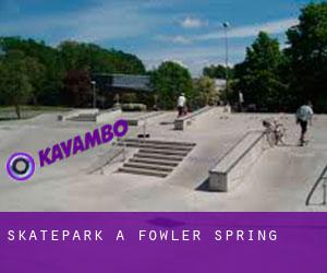 Skatepark a Fowler Spring Skatepark a Fowler Spring