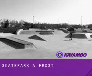 Skatepark a Frost