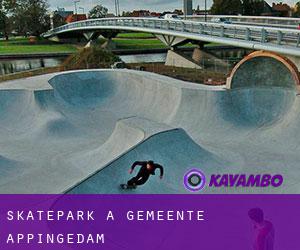 Skatepark a Gemeente Appingedam