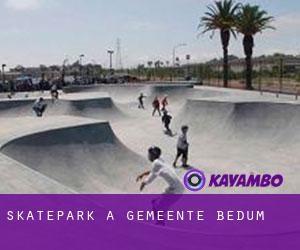 Skatepark a Gemeente Bedum