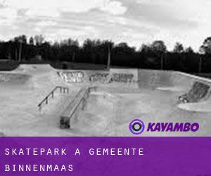 Skatepark a Gemeente Binnenmaas