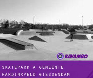 Skatepark a Gemeente Hardinxveld-Giessendam