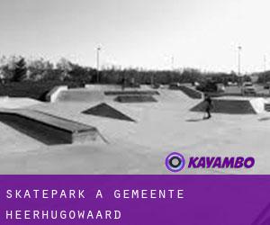 Skatepark a Gemeente Heerhugowaard