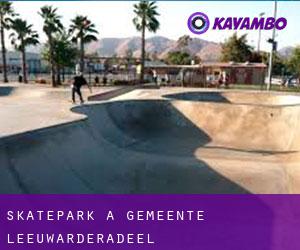 Skatepark a Gemeente Leeuwarderadeel