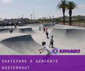 Skatepark a Gemeente Oosterhout