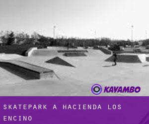 Skatepark a Hacienda Los Encino